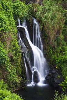 Cascade on the Hamakua Coast, The Big Island, Hawaii USA Cascade on the Hamakua Coast, The Big Island, Hawaii USA