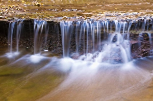 Cascade along the Left Fork of North Creek, Zion National Park, Utah Cascade along the Left Fork of North Creek, Zion National Park, Utah