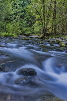 Cascade in the South Fork of the McKenzie River in the Willamette National Forest Cascade in the South Fork of the McKenzie River in the Willamette National Forest