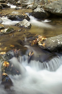 Cascading autumn stream, Hazel River, Sams Ridge Trail, Shenandoah NP, Virginia Cascading autumn stream, Hazel River, Sams Ridge Trail, Shenandoah NP, Virginia