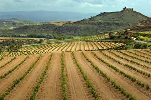 Castle overlooks vineyards along the San Vicente to Banos de Ebro Road in the La Castle overlooks vineyards along the San Vicente to Banos de Ebro Road in the La