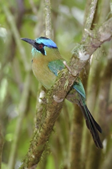 Central America, Costa Rica
