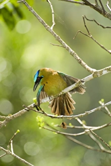 Central America, Costa Rica