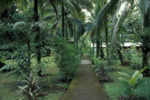 Central America, Costa Rica, Caribbean Coast. Lush gardens at the Tortuga Lodge Central America, Costa Rica, Caribbean Coast. Lush gardens at the Tortuga Lodge