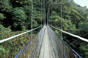 Images Dated 13th April 2004: Central America, Costa Rica, Monteverde Cloud Forest Suspension Bridge along Sky Walk