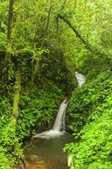 Central america/costa rica/central america costa rica monteverde waterfall Central america/costa rica/central america costa rica monteverde waterfall