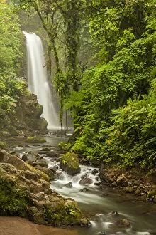 Central America, Costa Rica. Templo waterfall in rain forest