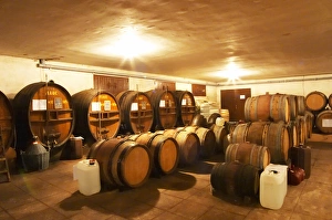 In the Chapoutier winery. The special storage room for spirits, marc, fine, with old wooden barrels In the Chapoutier winery. The special storage room for spirits, marc, fine, with old wooden barrels