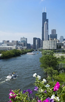 Chicago Illinois skyline from the South Chicago River branch with Sears Tower or Chicago Illinois skyline from the South Chicago River branch with Sears Tower or