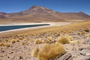 Chile, Antofagasta Region, Miniques, Lake Miscanti. Lake Miscanti is a brackish lake Chile, Antofagasta Region, Miniques, Lake Miscanti. Lake Miscanti is a brackish lake