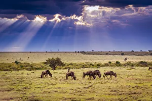 Clouds with sun rays streaming down on Masai Mara in Kenya, Africa Clouds with sun rays streaming down on Masai Mara in Kenya, Africa