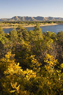 CO, Mancos State Recreation Area, Mancos Reservoir CO, Mancos State Recreation Area, Mancos Reservoir