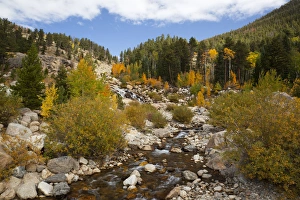CO, Rocky Mountain National Park, Alluvial Fan area CO, Rocky Mountain National Park, Alluvial Fan area