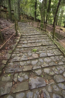 A cobble stone path leading through the grounds of Kasuga Taisha Shrine in Nara, Japan A cobble stone path leading through the grounds of Kasuga Taisha Shrine in Nara, Japan