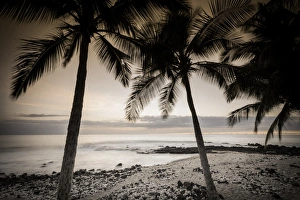 Coconut palms and surf at dusk, Kailua-Kona, Hawaii, USA Coconut palms and surf at dusk, Kailua-Kona, Hawaii, USA