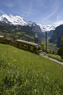 Cog rail train, Jungfrau, Lauterbrunnental, Canton Bern, Alps, Switzerland Cog rail train, Jungfrau, Lauterbrunnental, Canton Bern, Alps, Switzerland