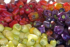 A colorful display of peppers at a roadside fruit stand in Fruitland, Idaho A colorful display of peppers at a roadside fruit stand in Fruitland, Idaho