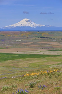 Columbia Hills State Park, Dallesport, Washington Columbia Hills State Park, Dallesport, Washington