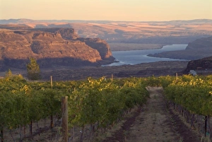 Columbia River seen from Cave B vineyards in Grant County, Washington, USA Columbia River seen from Cave B vineyards in Grant County, Washington, USA