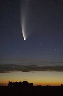 Astronomic Gallery: Comet McNaught, Ashburton, South Island, New Zealand