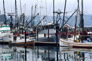 Commercial fishing boats docked at Newport on the Oregon Coast. commercial Commercial fishing boats docked at Newport on the Oregon Coast. commercial