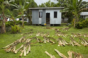 Corrugated iron house and drying leaves, Namaqumaqua village, Coral Coast, Viti Levu Corrugated iron house and drying leaves, Namaqumaqua village, Coral Coast, Viti Levu