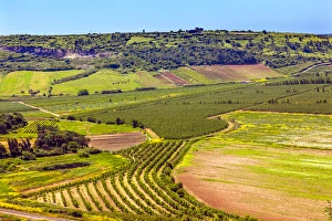 Countryside Farmland Farms Agriculture Obidos Portugal Countryside Farmland Farms Agriculture Obidos Portugal