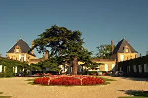 Winery Gallery: The court yard to Chateau Beychevelle in Saint Julien. Beautiful flower arrangements