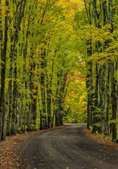 Covered road near Houghton in the Upper Peninsula of Michigan, USA Covered road near Houghton in the Upper Peninsula of Michigan, USA