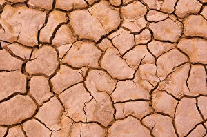 Playa Gallery: Cracked mud patterns on the playa, Clark Dry Lake, Anza-Borrego Desert State Park