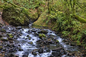 Images Dated 15th October 2014: Creek below Bridalveil Falls. Columbia River Gorge. Oregon. USA