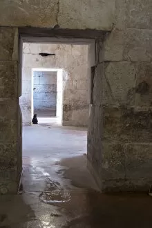 Croatia, Split. Feral cat stands watch at cellar doorway Diocletian Palace