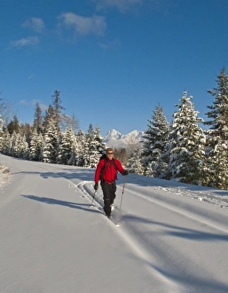 Cross country skiing to Fish Creek in Glacier National Park in Montana (MR) Cross country skiing to Fish Creek in Glacier National Park in Montana (MR)