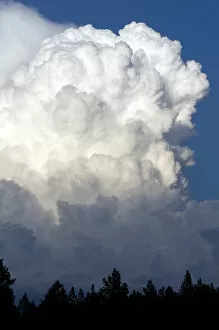 Images Dated 4th July 2009: Cumulonimbus thunderstorm clouds form near Cascade, Idaho, USA