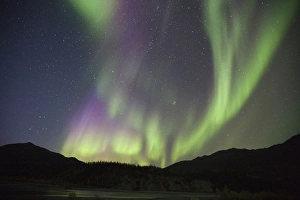 Curtains of brightly colored Aurora Borealis dance over the Koyukuk River in the Curtains of brightly colored Aurora Borealis dance over the Koyukuk River in the