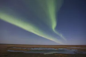 Curtains of colored northern lights (aurora borealis) dance in the night sky over