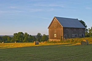 Cut field with hay bales at sunrise. Old farm house barn. Traditional style Swedish Cut field with hay bales at sunrise. Old farm house barn. Traditional style Swedish