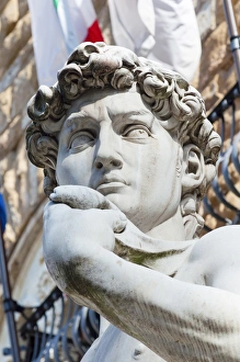 The David, by Michelangelo, Palazzo Vecchio, Piazza Signoria, Firenze, Unesco world heritage site The David, by Michelangelo, Palazzo Vecchio, Piazza Signoria, Firenze, Unesco world heritage site