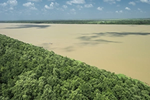<b class=qtipBold><figcaption>Demerara River GUYANA South America</figcaption></b><br>Demerara River, Guyana<br><em>© Pete Oxford / DanitaDelimont.com</em> Demerara River GUYANA South America