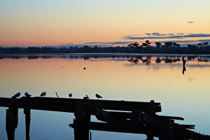 Derelict wharf and reflections in New River Estuary at dusk, Invercargill, Southland Derelict wharf and reflections in New River Estuary at dusk, Invercargill, Southland