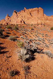 Devils Garden, Arches National Park, Utah, US Devils Garden, Arches National Park, Utah, US
