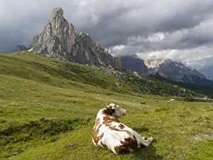 Dolomites at Passo Giau. Ra Gusela and Tofane. The Dolomites are part of the UNESCO World Dolomites at Passo Giau. Ra Gusela and Tofane. The Dolomites are part of the UNESCO World