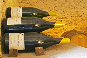 Double magnum bottles of Chablis Premier Cru Les Vaillons 2002 in Domaine Michel Double magnum bottles of Chablis Premier Cru Les Vaillons 2002 in Domaine Michel