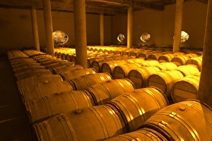 The very dramatic newly built underground barrel aging cellar under the winery, with The very dramatic newly built underground barrel aging cellar under the winery, with