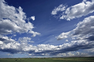 Dramatic sky above green grass, Masai Mara, Kenya Dramatic sky above green grass, Masai Mara, Kenya
