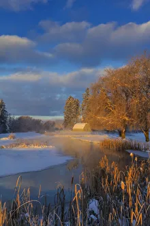 Ducks in wetlands slough with snowy barn near Kalispell, Montana, USA Ducks in wetlands slough with snowy barn near Kalispell, Montana, USA