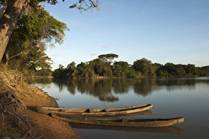 Dugout Canoe Yupukari Amerindian Village Rupununi GUYANA South America Dugout Canoe Yupukari Amerindian Village Rupununi GUYANA South America