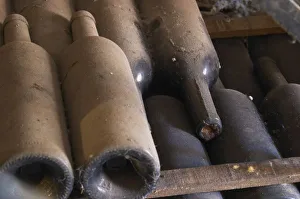 Detail of dusty bottles sur lattes on wooden sticks Chateau Vannieres (Vannieres) Detail of dusty bottles sur lattes on wooden sticks Chateau Vannieres (Vannieres)
