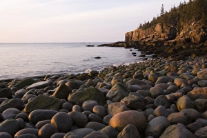 Early morning on the cobblestone beach in Momument Cove in Maines Acadia National Park Early morning on the cobblestone beach in Momument Cove in Maines Acadia National Park