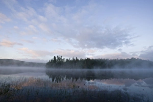 Early morning on East Inlet in Pittsburgh, New Hampshire. A pond upstream of Second Connecticut Lake Early morning on East Inlet in Pittsburgh, New Hampshire. A pond upstream of Second Connecticut Lake